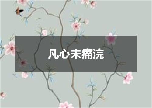 凡心未痛浣