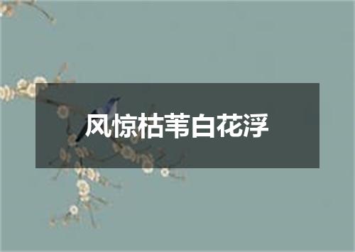 风惊枯苇白花浮