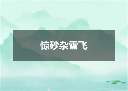 惊砂杂雪飞