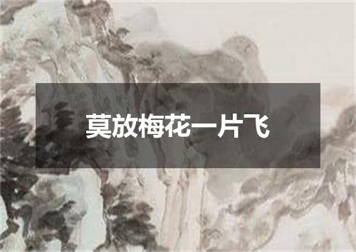 莫放梅花一片飞