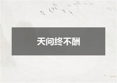 天问终不酬