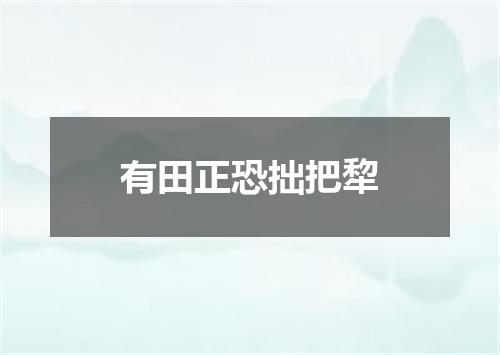 有田正恐拙把犂