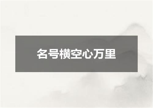名号横空心万里