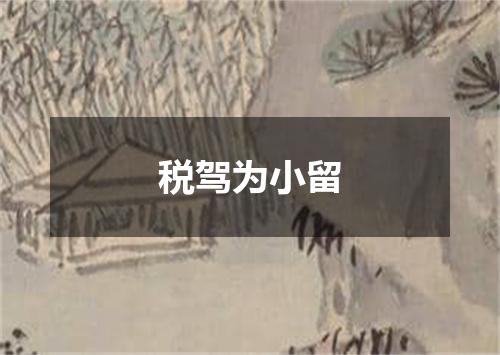 税驾为小留