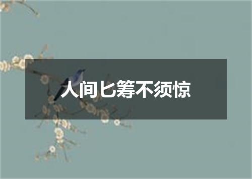 人间匕筹不须惊