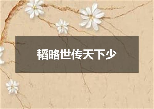 韬略世传天下少