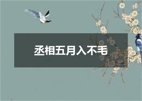 丞相五月入不毛