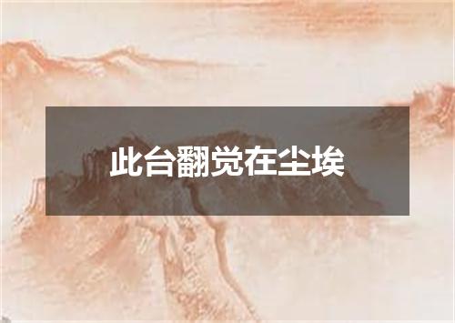 此台翻觉在尘埃