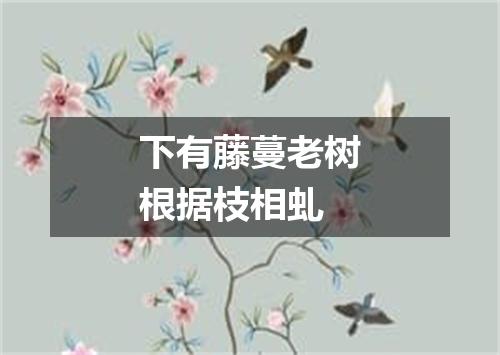 下有藤蔓老树根据枝相虬