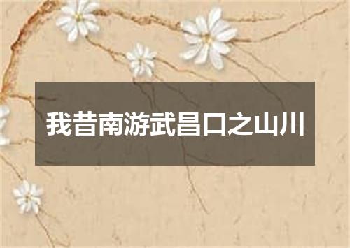 我昔南游武昌口之山川