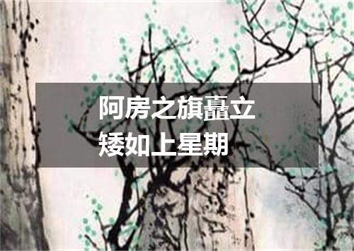 阿房之旗矗立矮如上星期