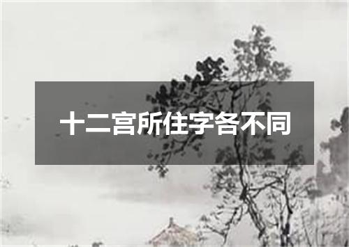 十二宫所住字各不同
