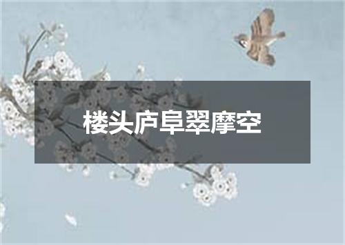 楼头庐阜翠摩空