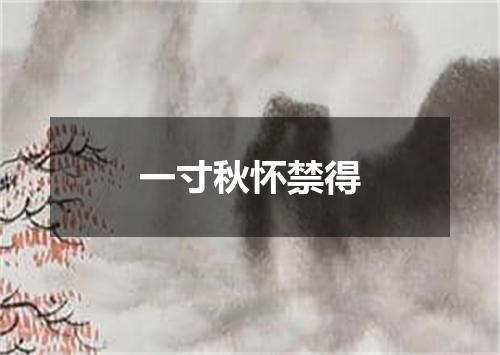 一寸秋怀禁得