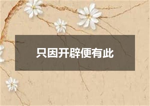 只因开辟便有此