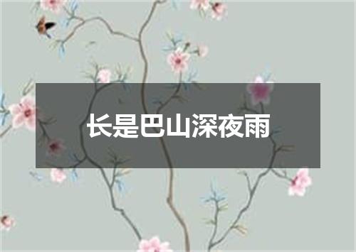 长是巴山深夜雨