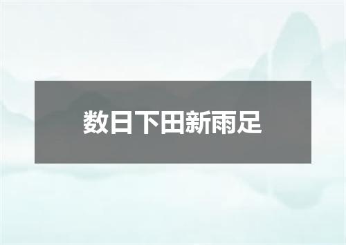 数日下田新雨足