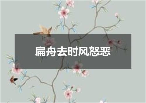 扁舟去时风怒恶