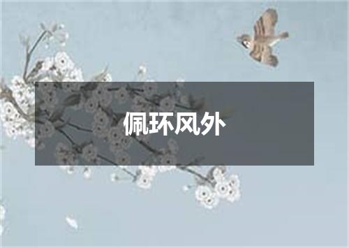 佩环风外