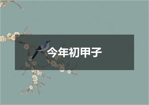 今年初甲子