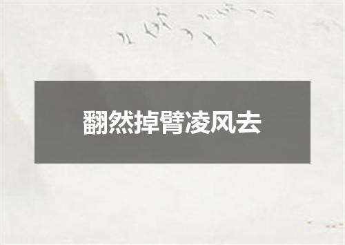 翻然掉臂凌风去