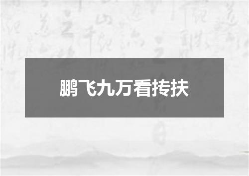 鹏飞九万看抟扶