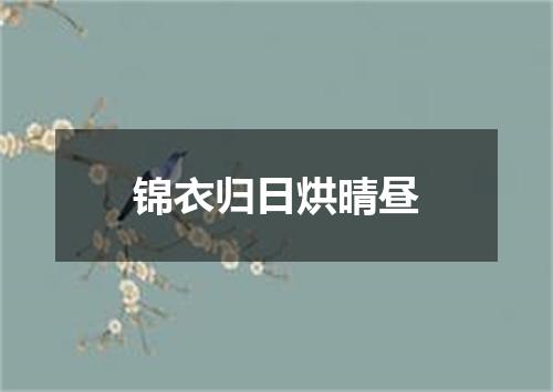 锦衣归日烘晴昼