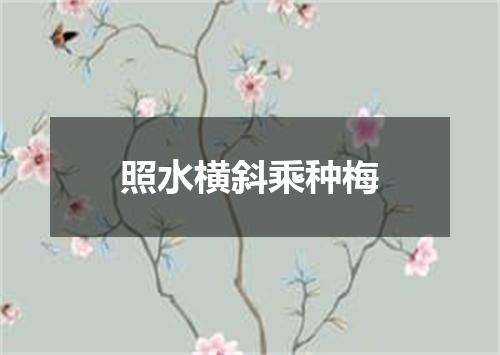 照水横斜乘种梅