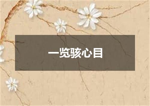 一览骇心目