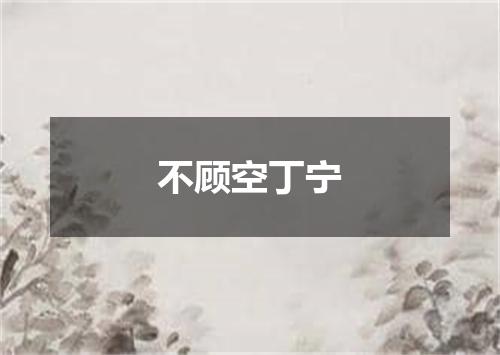 不顾空丁宁