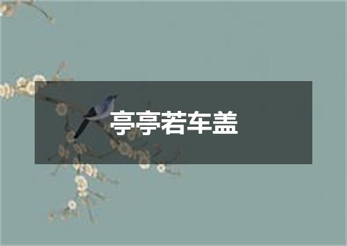 亭亭若车盖