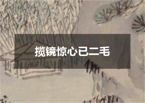 揽镜惊心已二毛