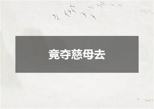 竟夺慈母去