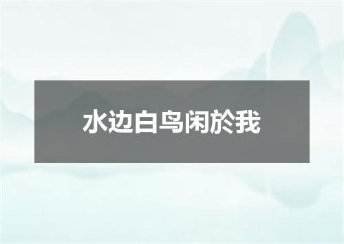 水边白鸟闲於我