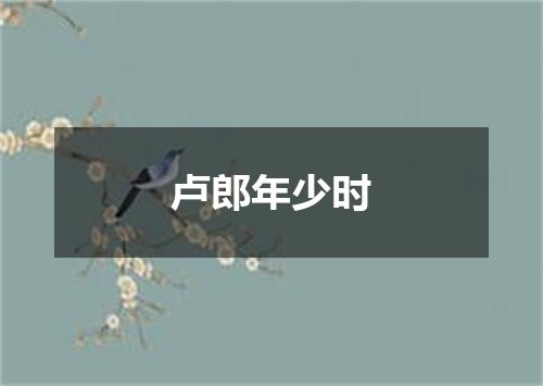 卢郎年少时