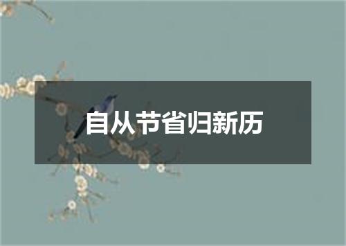 自从节省归新历