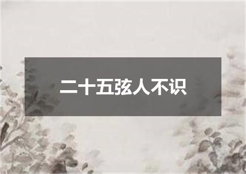 二十五弦人不识