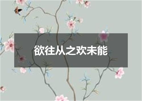 欲往从之欢未能