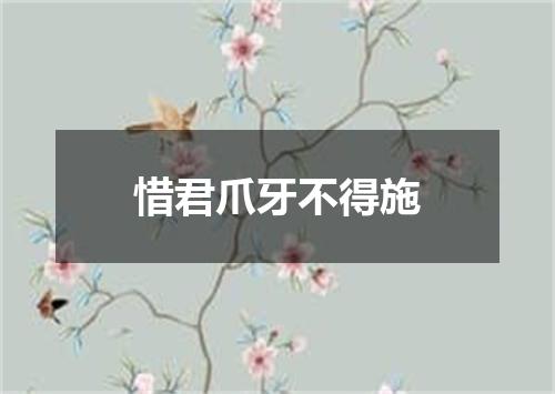 惜君爪牙不得施