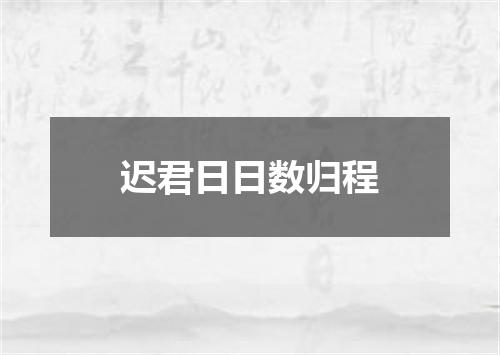 迟君日日数归程