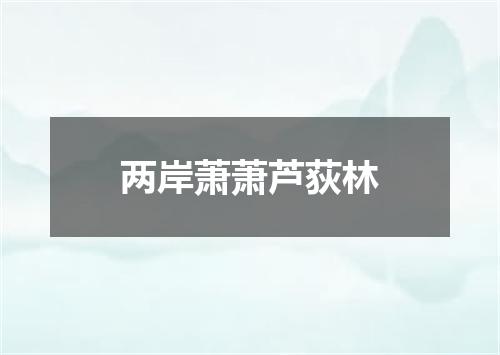 两岸萧萧芦荻林