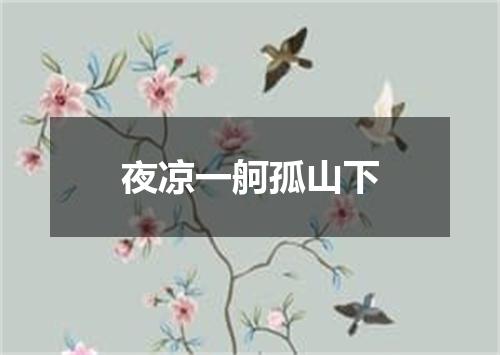 夜凉一舸孤山下