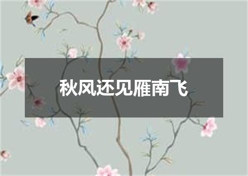 秋风还见雁南飞