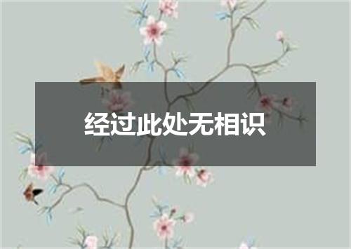 经过此处无相识
