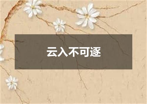 云入不可逐
