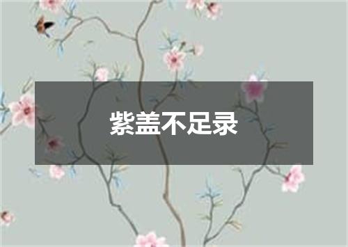 紫盖不足录