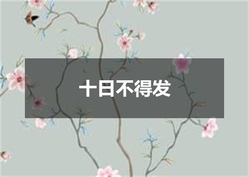 十日不得发