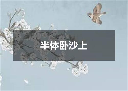 半体卧沙上