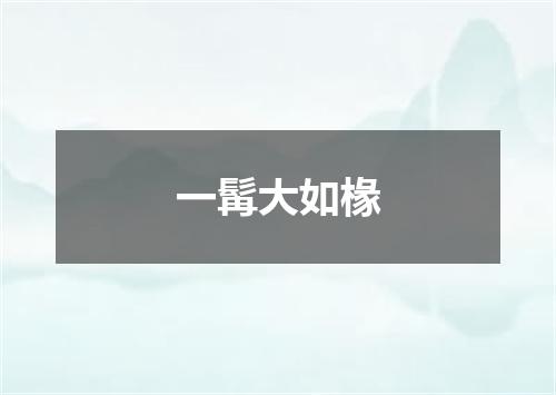 一髯大如椽