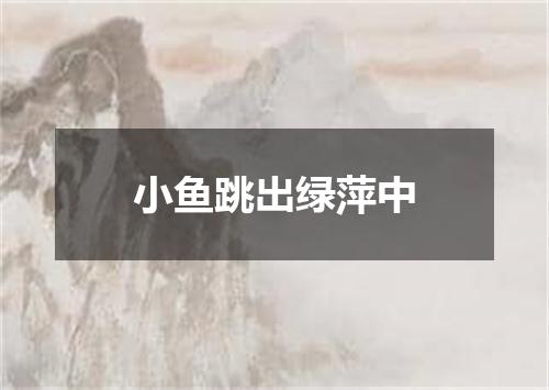 小鱼跳出绿萍中